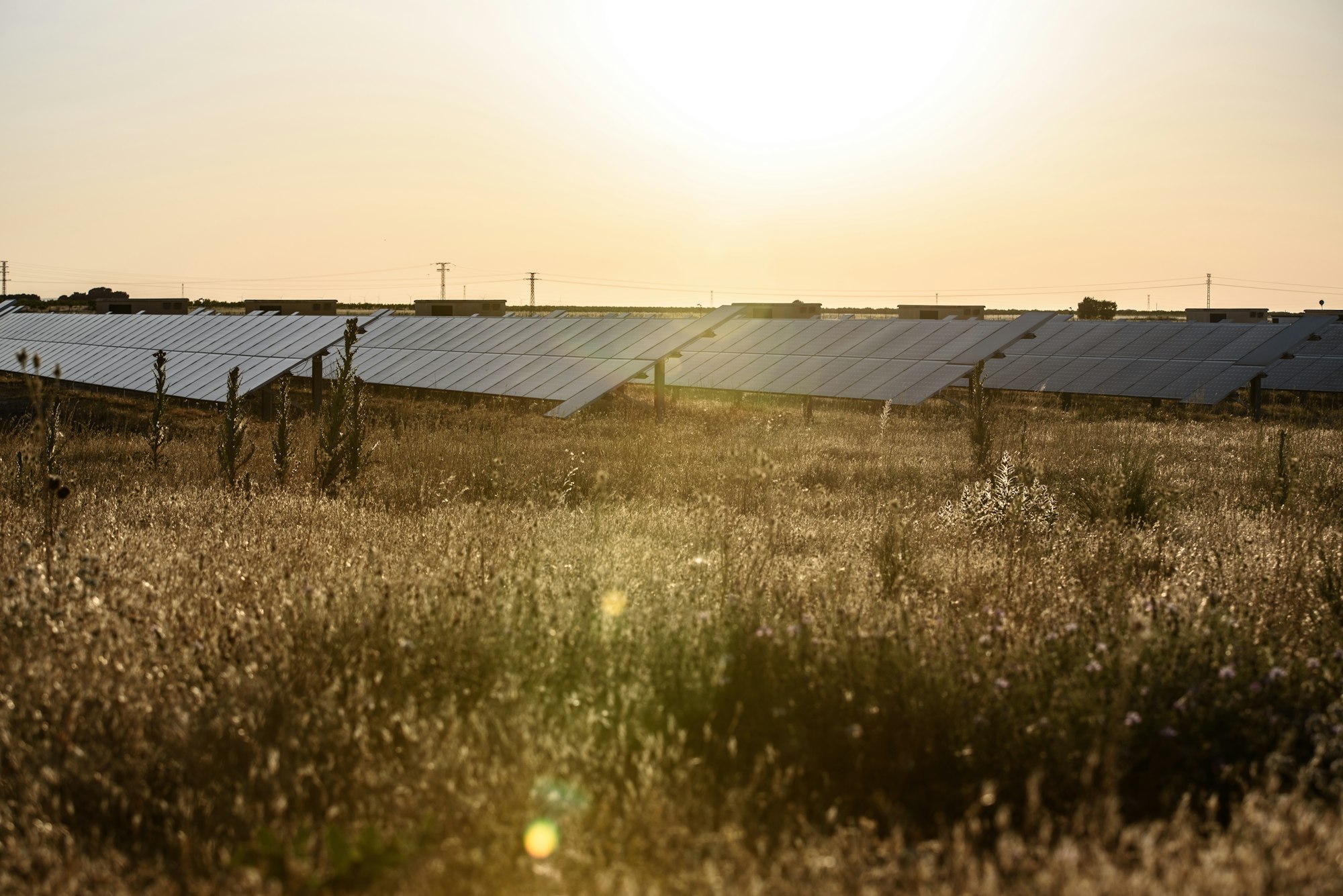 Solar panels in an installation in a desert area.